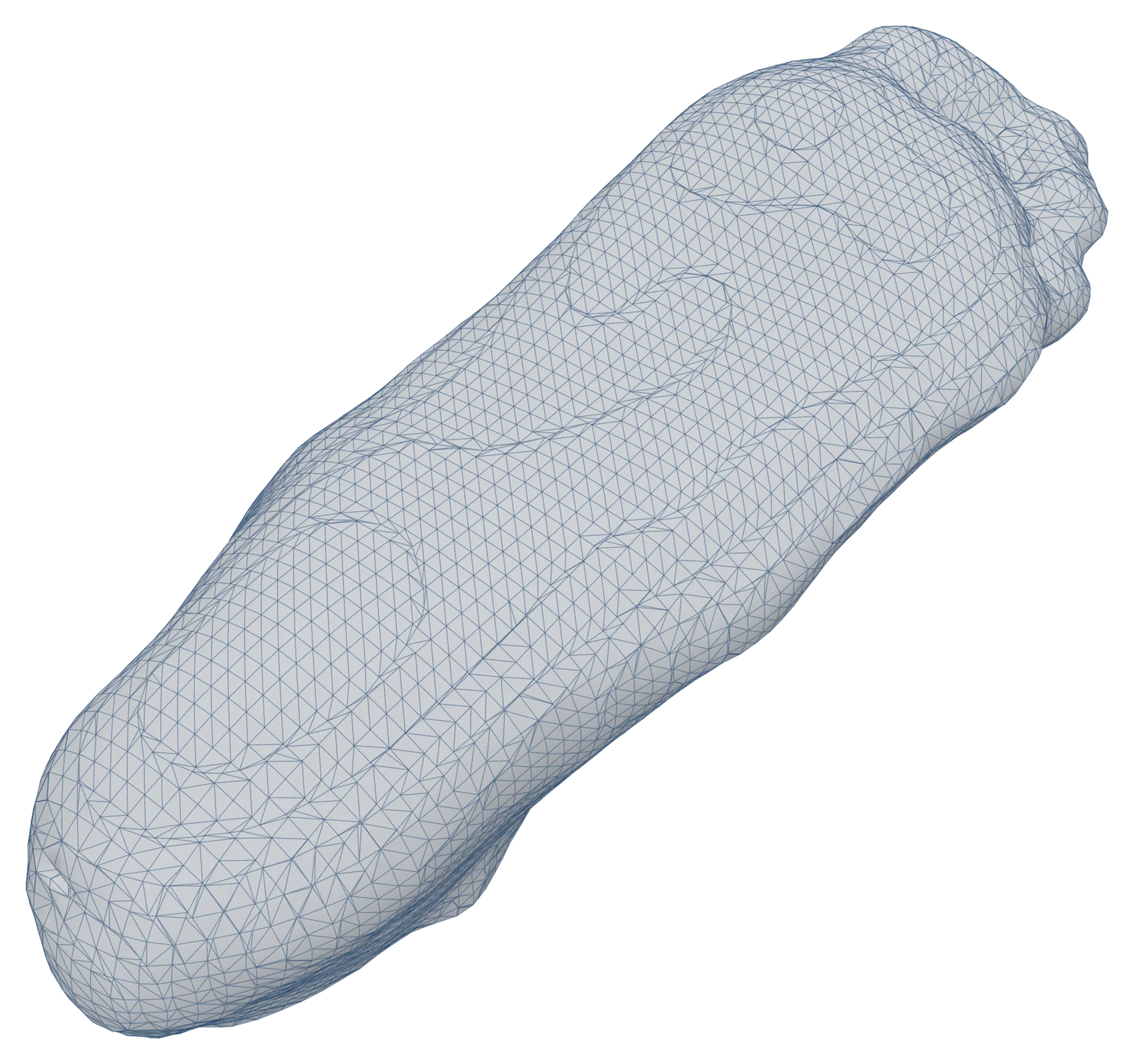 Plantar surface of a Structure Sensor foot scan. The mesh is coarse, the toes merge into one block and the arch is smoothed over.