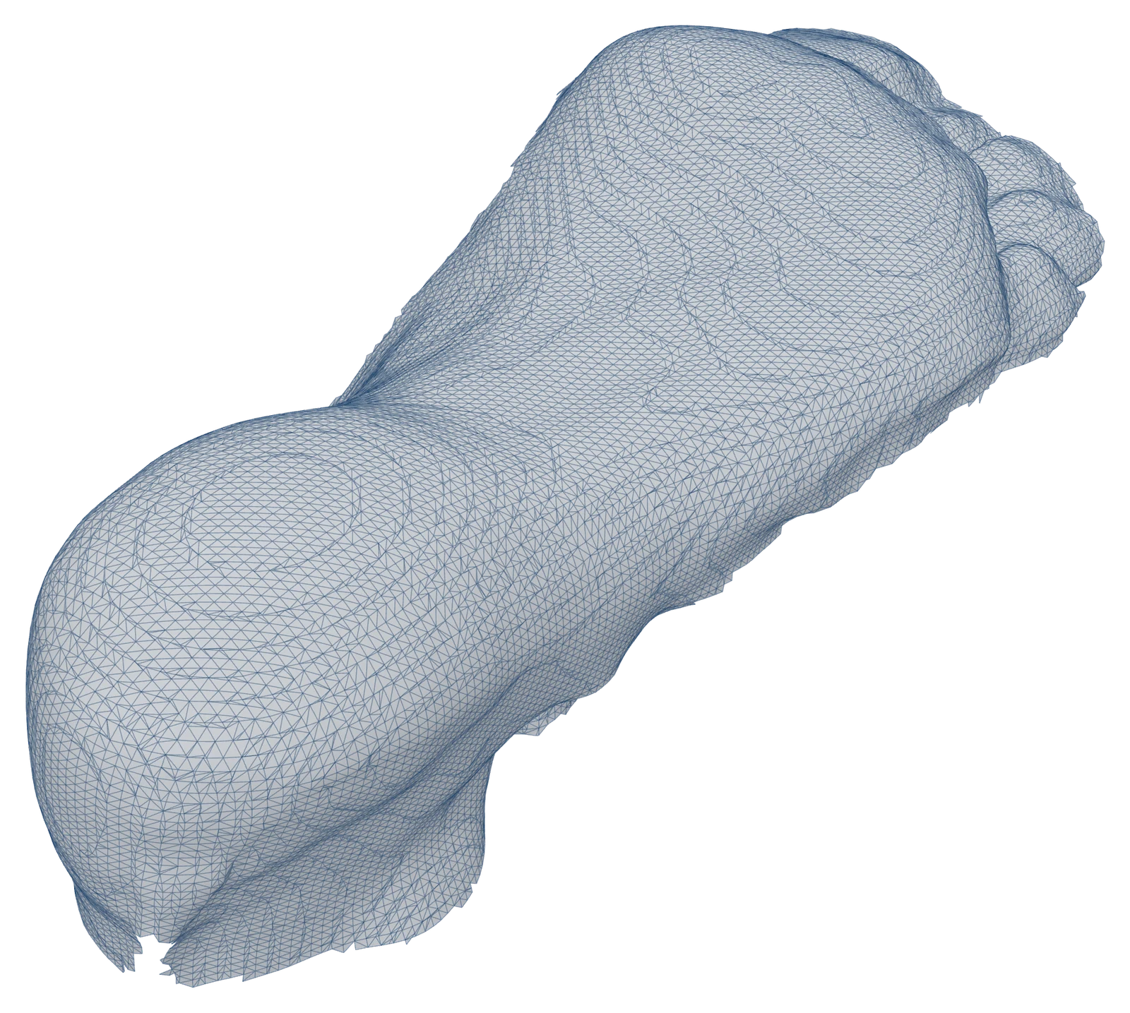 Plantar surface of a Swift Orthotics iPhone scan. The heel pad, arch and all five toes are resolved in a fine dense mesh.
